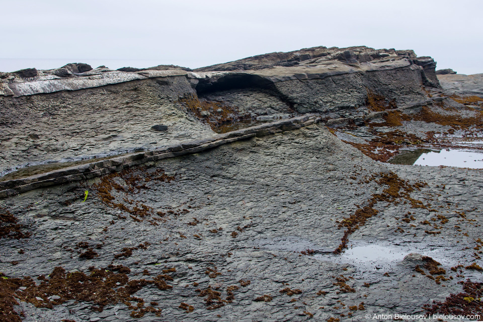 Пляж на West Coast Trail