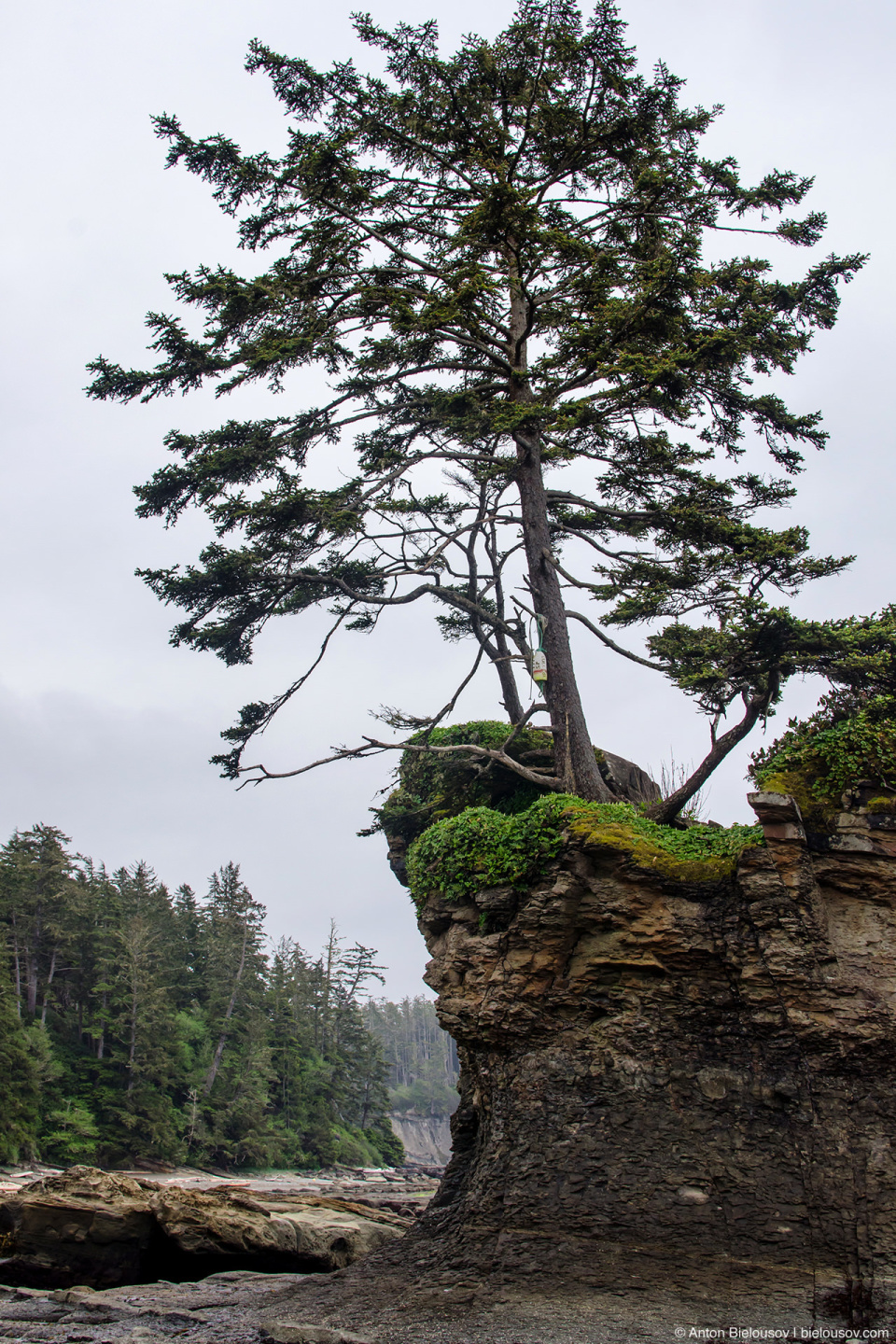 Dare Point на West Coast Trail