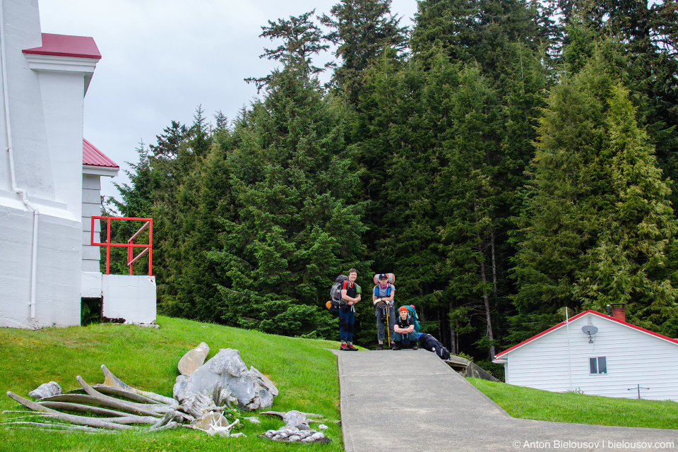 Скелет серого кита, Carmanah Point Lighthouse