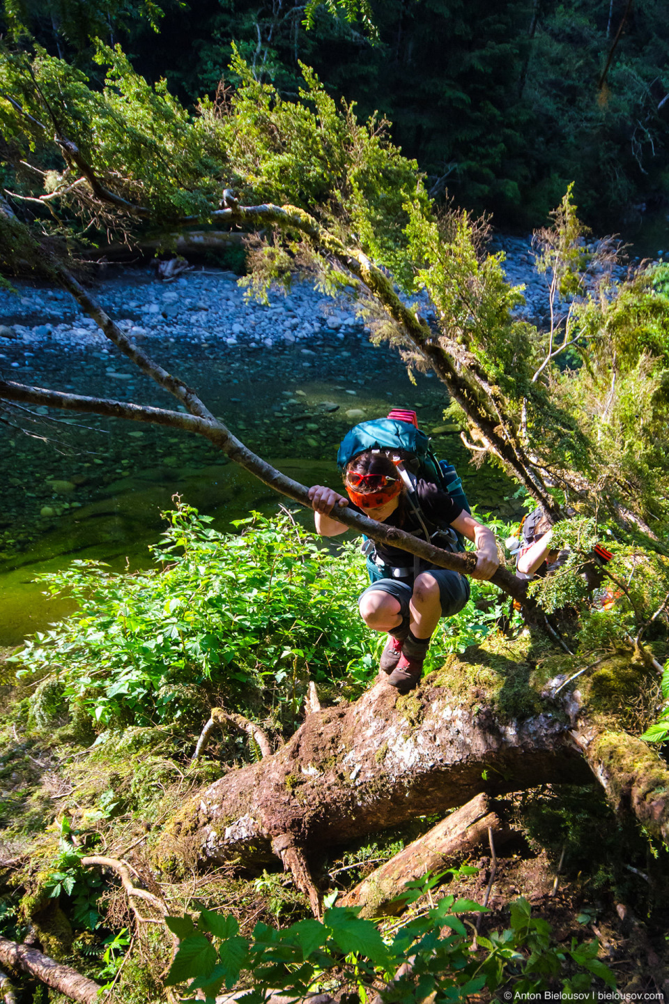 Тропа в лагерь Cullite Creek Campsite