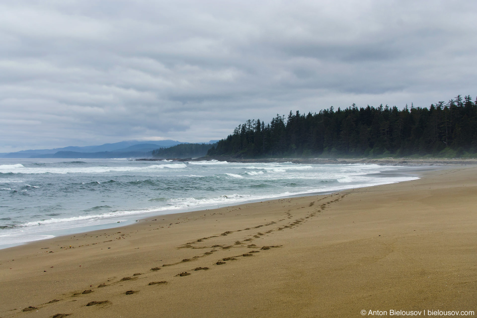 West Coast Trail sandy beach