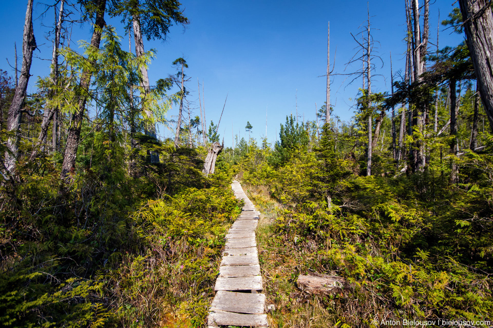 West Coast Trail, 57km