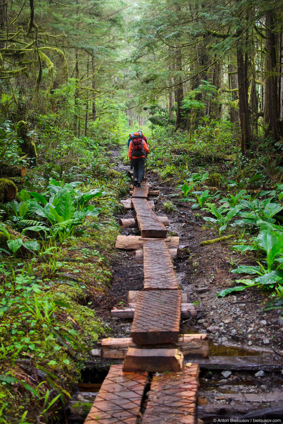 West Coast Trail