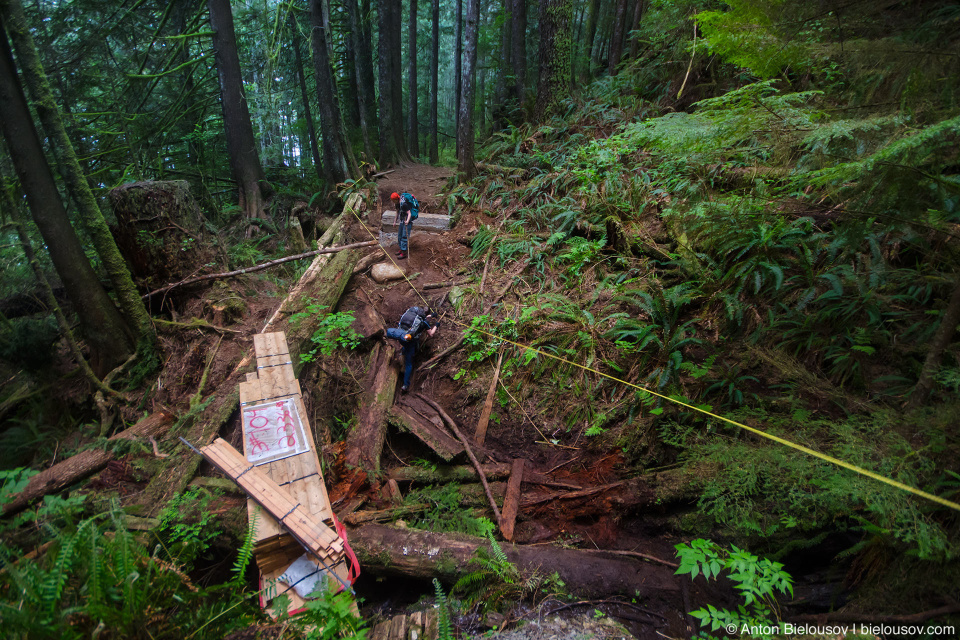 Ремонт моста на West Coast Trail