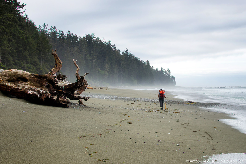 Carmanah Beach, 45km