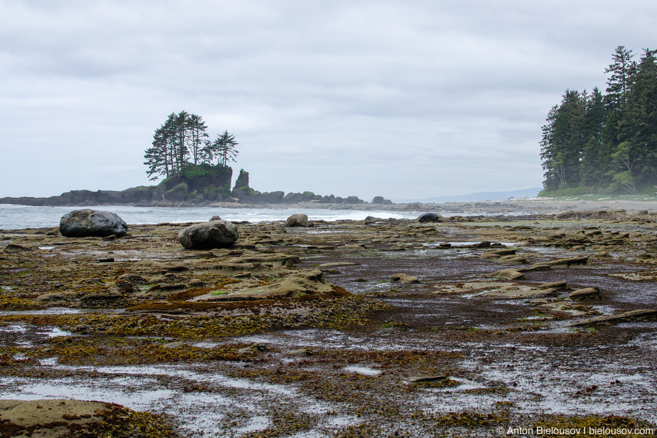 Carmanah Point, West Coast trail