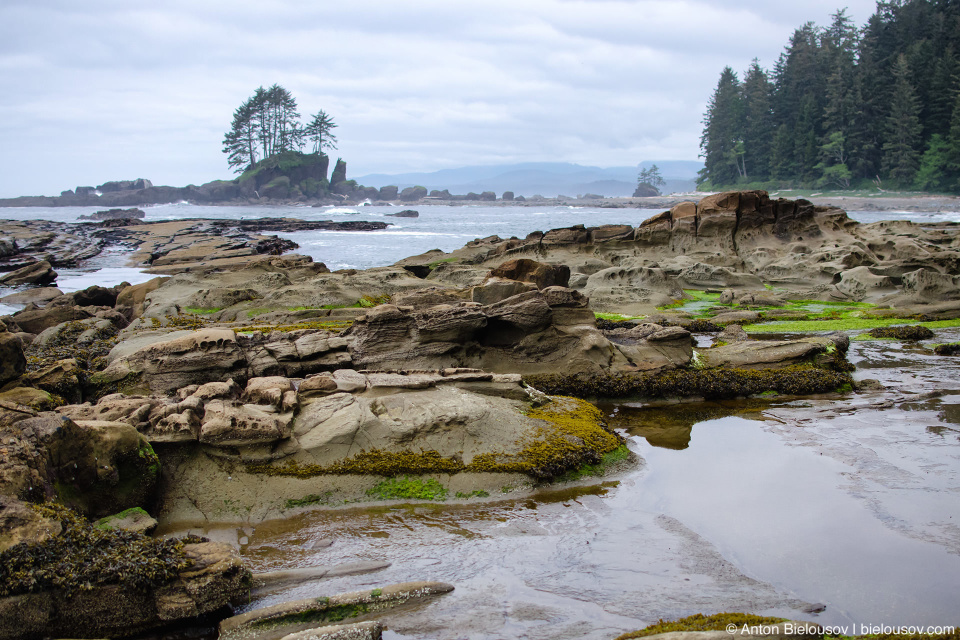 Carmanah Point, West Coast trail