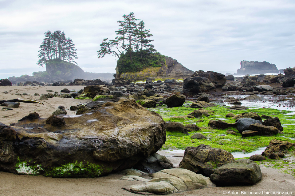 Carmanah Point, West Coast trail