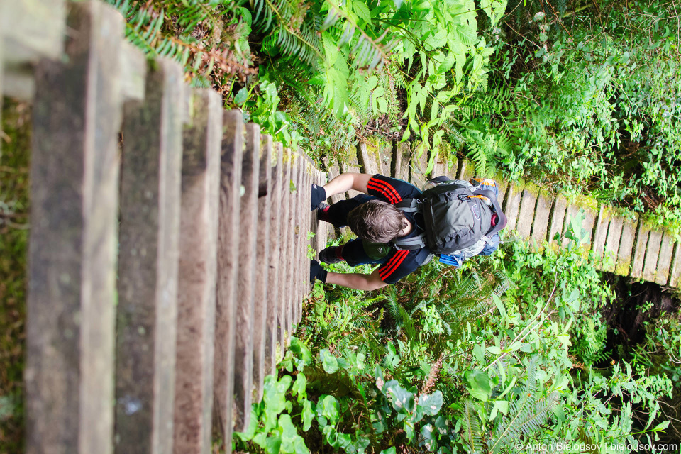 West Coast trail: лестницы на Carmanah Point