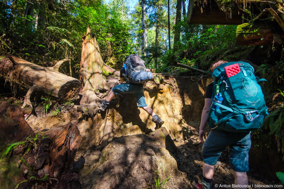 West Coast Trail