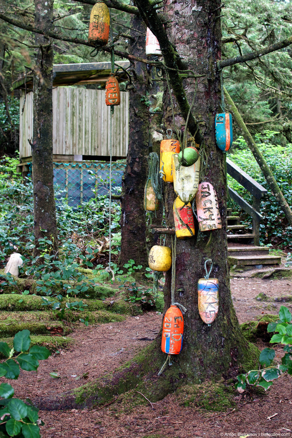 West Coast Trail compostable toilets