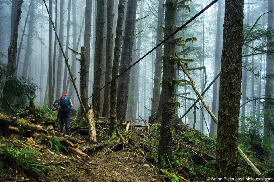 Найвысшая точка на маршруте West Coast Trail, 71km