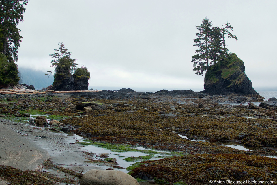 Kallet Rock, West Coast Trail