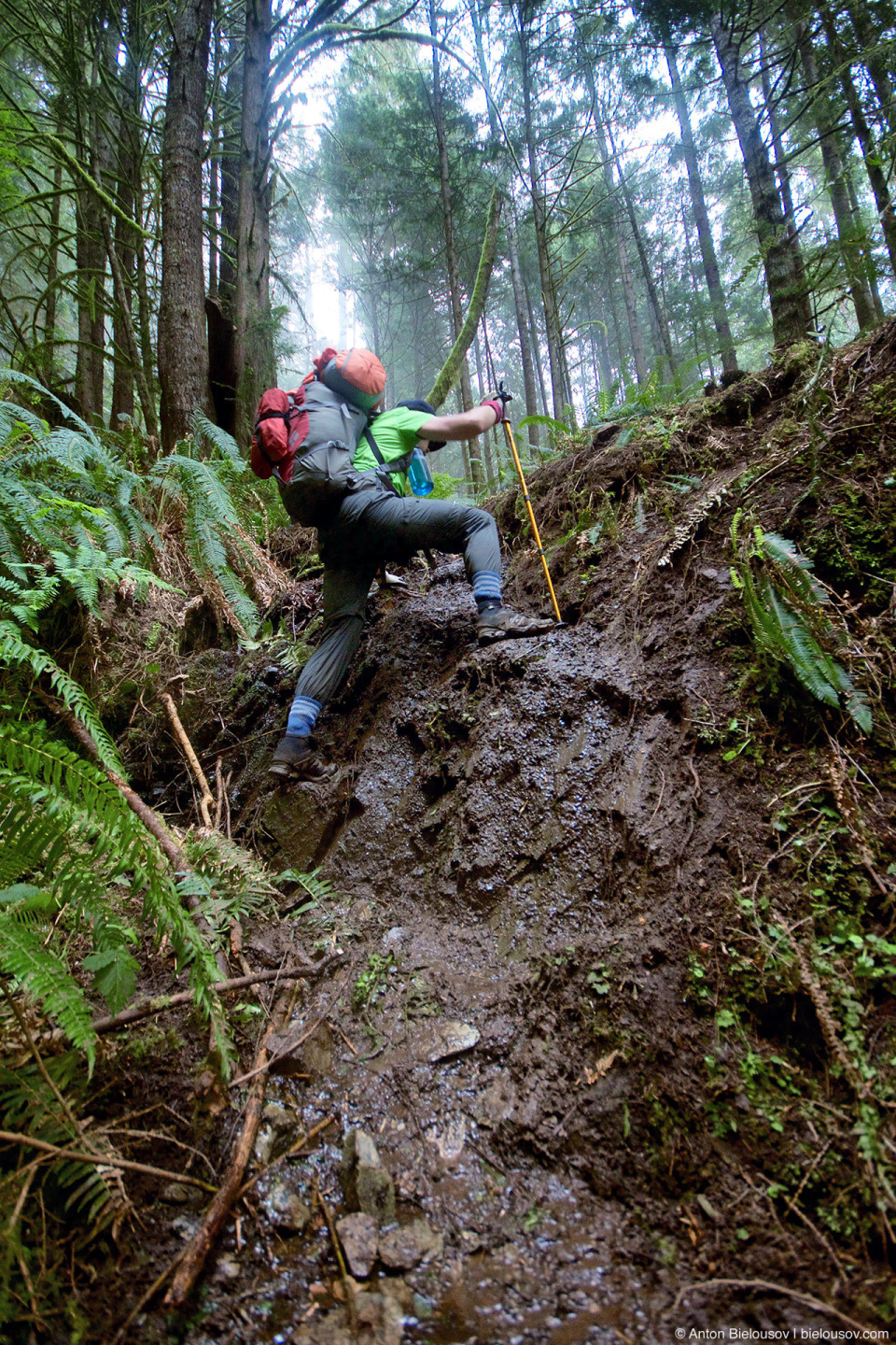 Последняя секция West Coast Trail