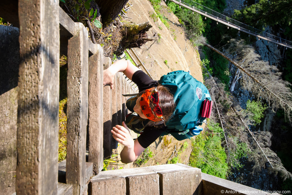 West Coast Trail: Logan Creek ladders