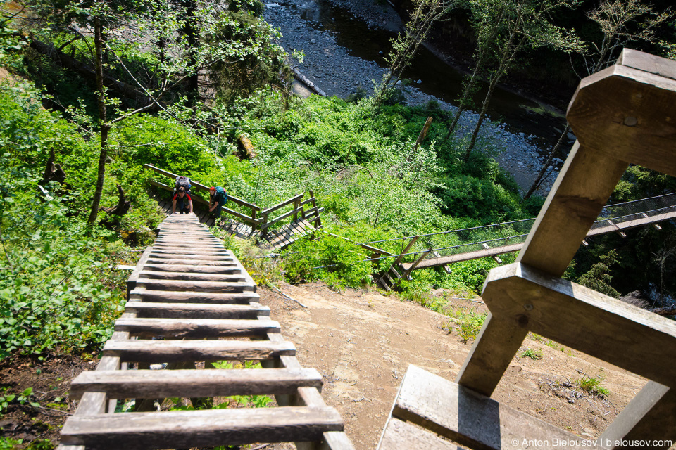 West Coast Trail: Logan Creek ladders