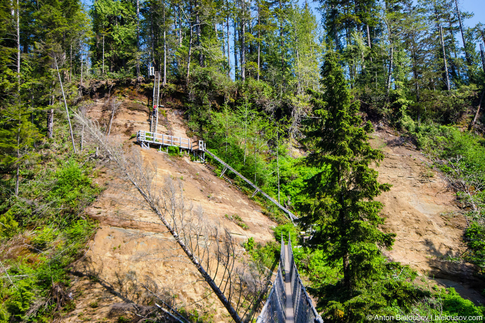 West Coast Trail: Logan Creek ladders