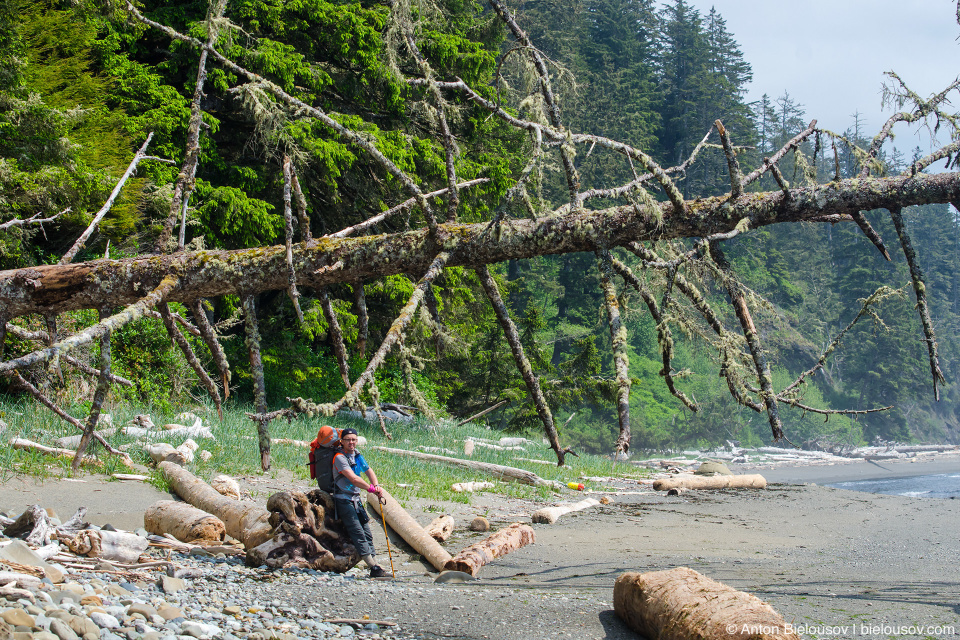 West Coast Trail Log