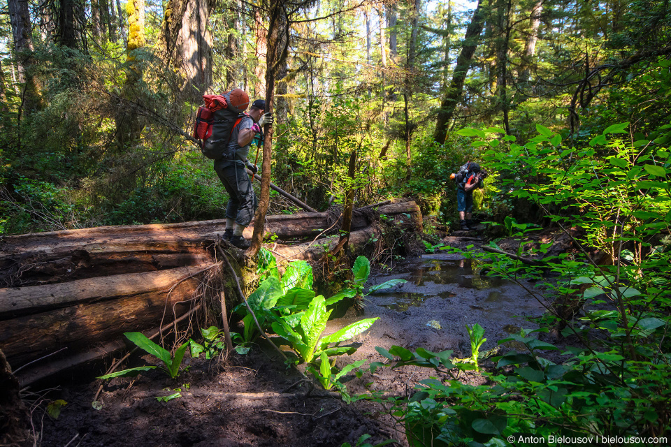 West Coast Trail Mud