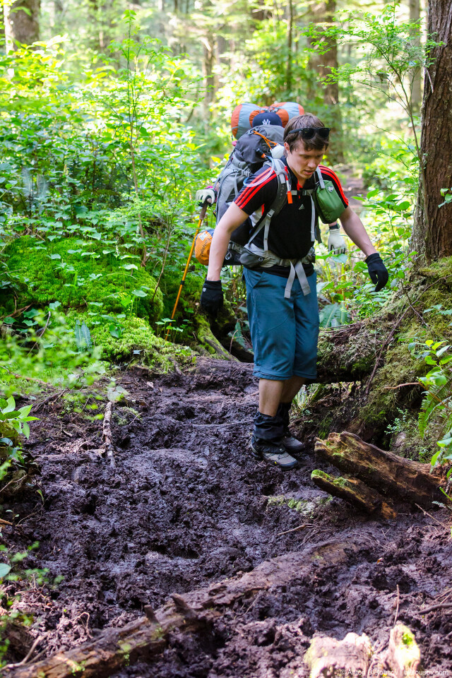 И они тут как тут — сразу за лагерем тропа уходит с пляжа. West Coast Trail Mud