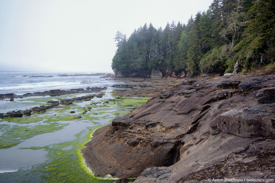 West Coast Trail Oven Point Slope