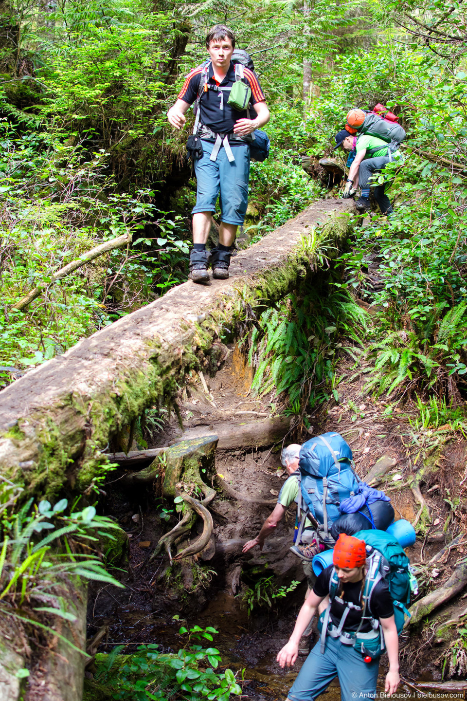 Эстакада на West Coast Trail