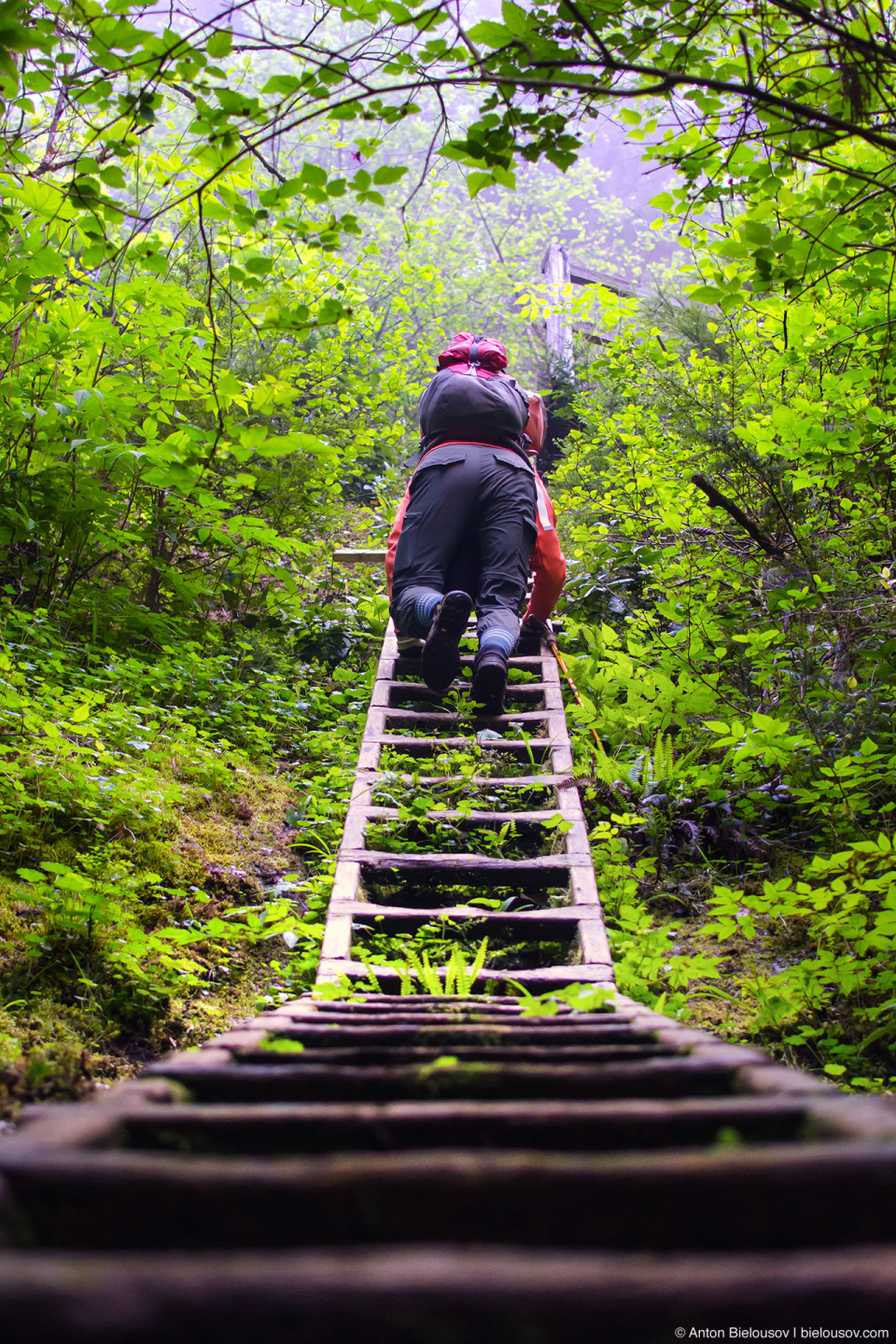 Лестница с переменным углом наклона на West Coast Trail