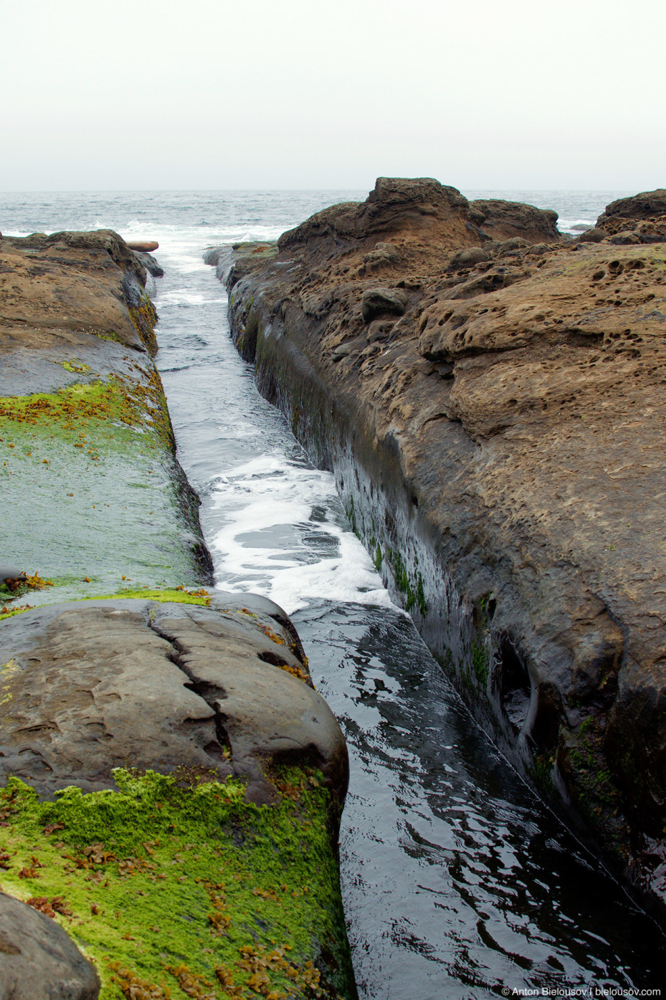 Surge Channel on West Coast Trail