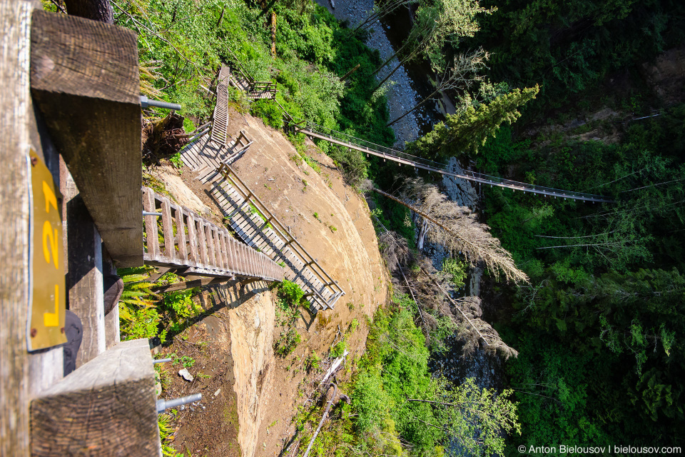 West Coast Trail: Logan Creek ladders