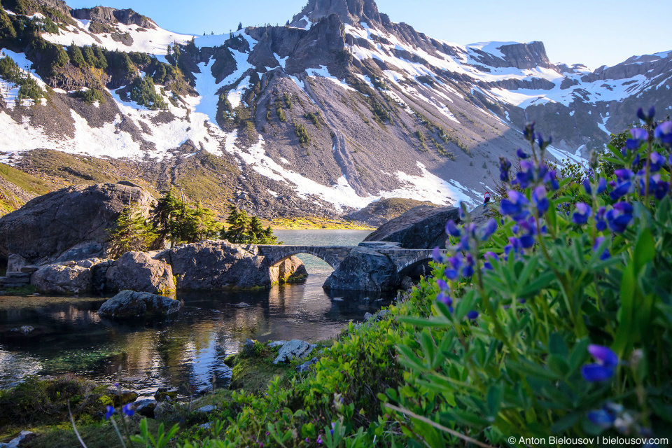 Bagley Lake alpine meadows, Mount Baker