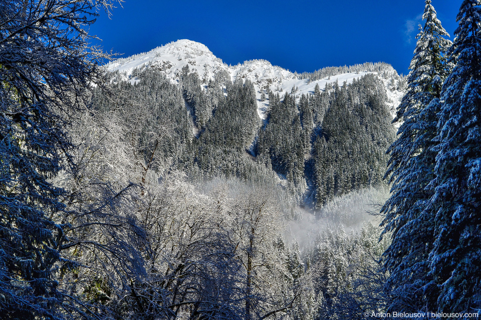 Church Mountain, WA