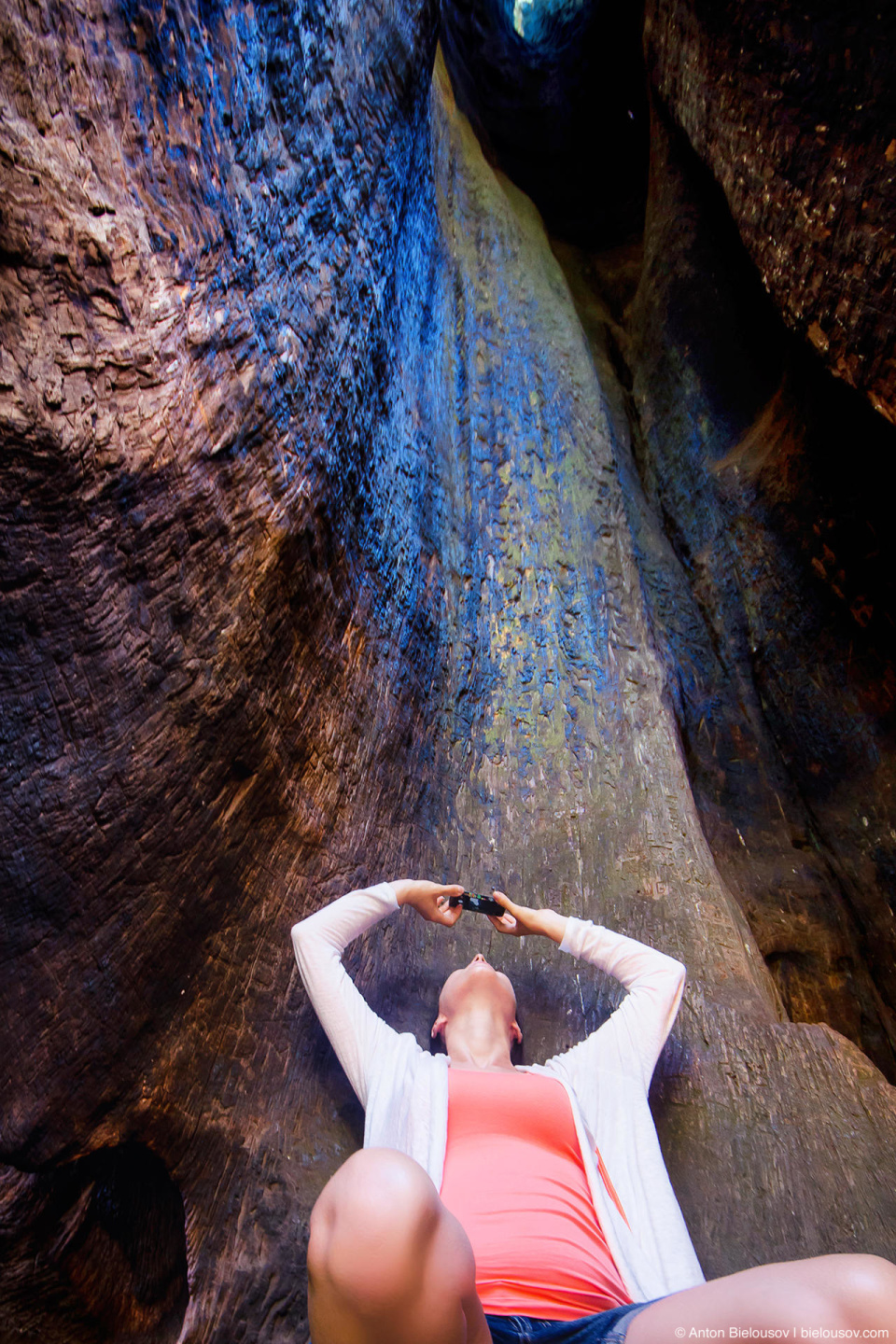 Гигантская секвойя «Телескоп», Mariposa Grove, Yosemite National Park, CA