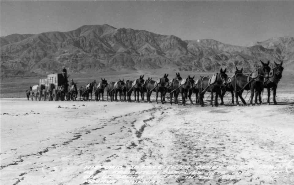 Twenty-mule borax team wagons, Death Valley, CA