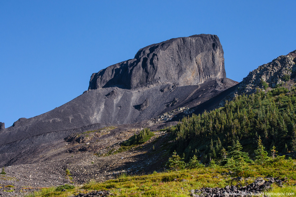 Black Tusk