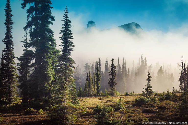 Taylor Meadows trail to Black Tusk