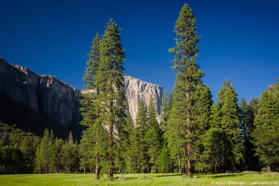 El Capitan, Yosemite Valley