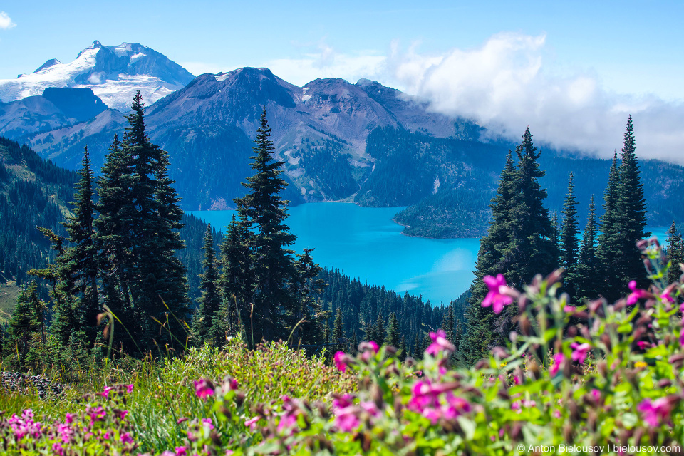 Garibaldi Lake