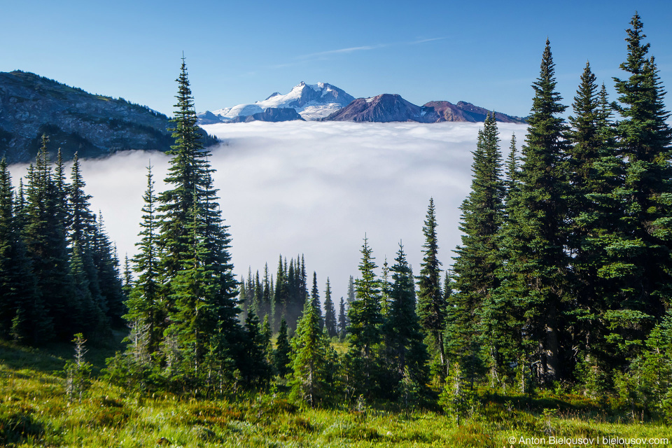 Garibaldi Provincial Park