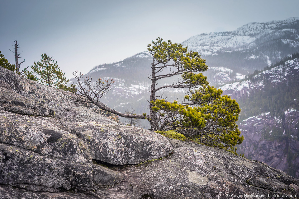 Stawamus Chief First Peak