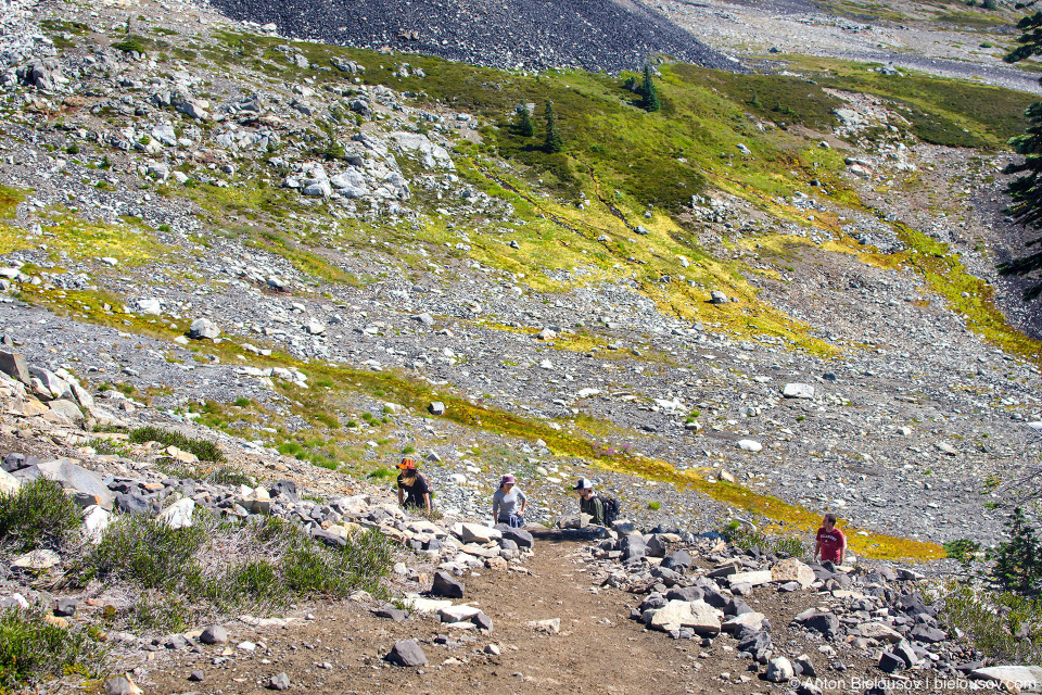 Hiking trail to Black Tusk