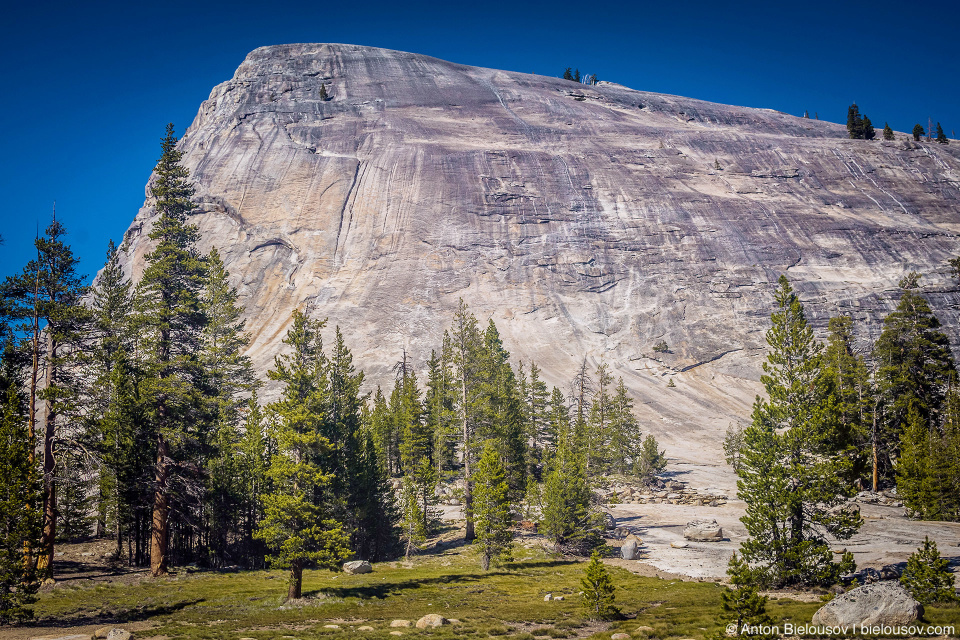 Гранитный монолит в Yosemite National Park, CA