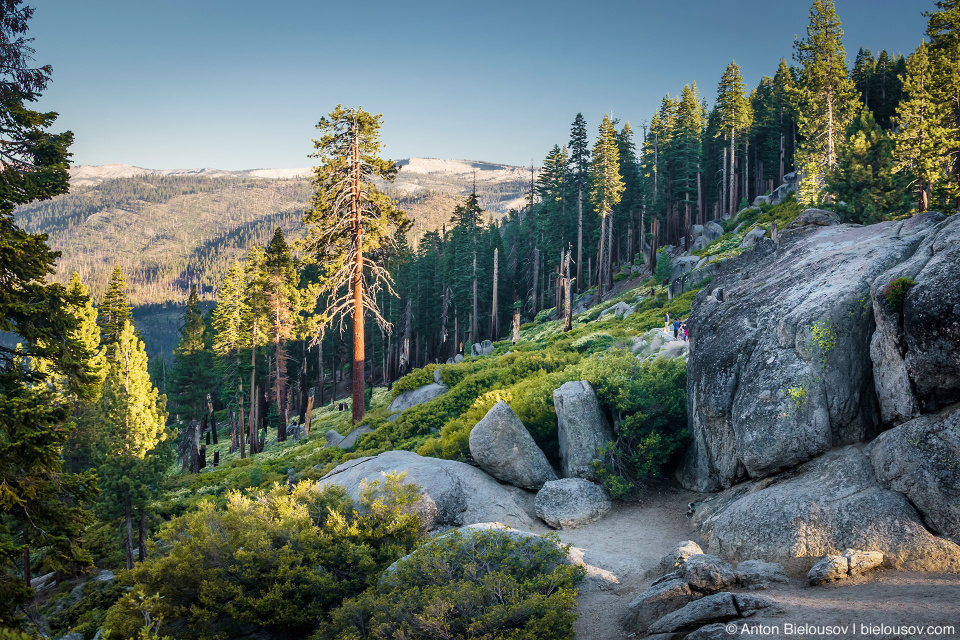 Yosemite National Park