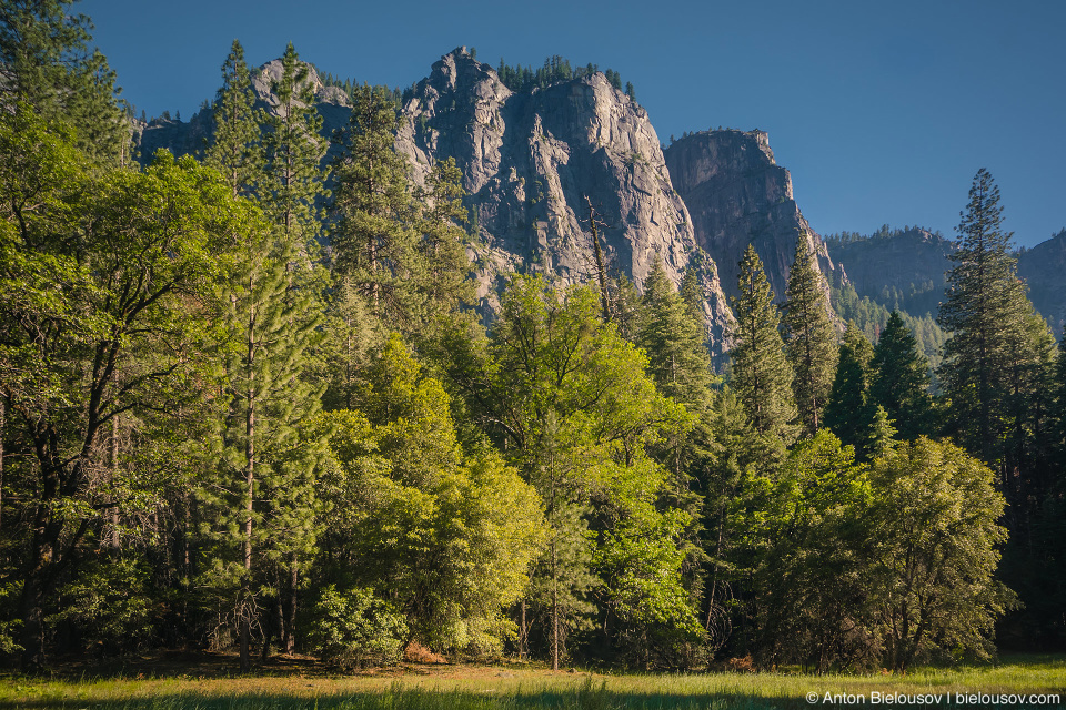 Yosemite National Park Valley