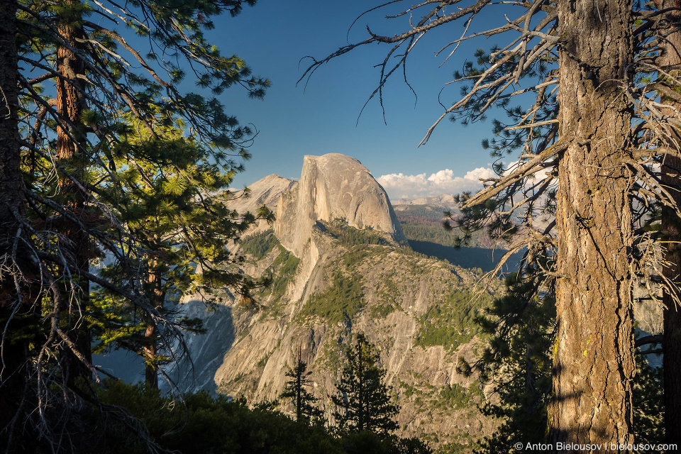 Half Dome, Yosemite National Park, CA