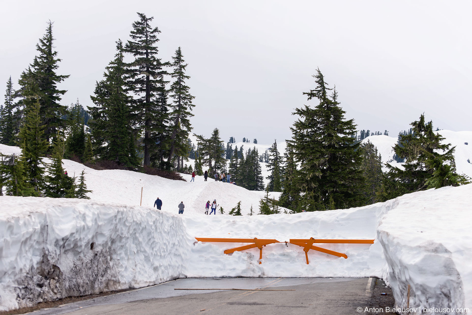 Artist Point: Road closed