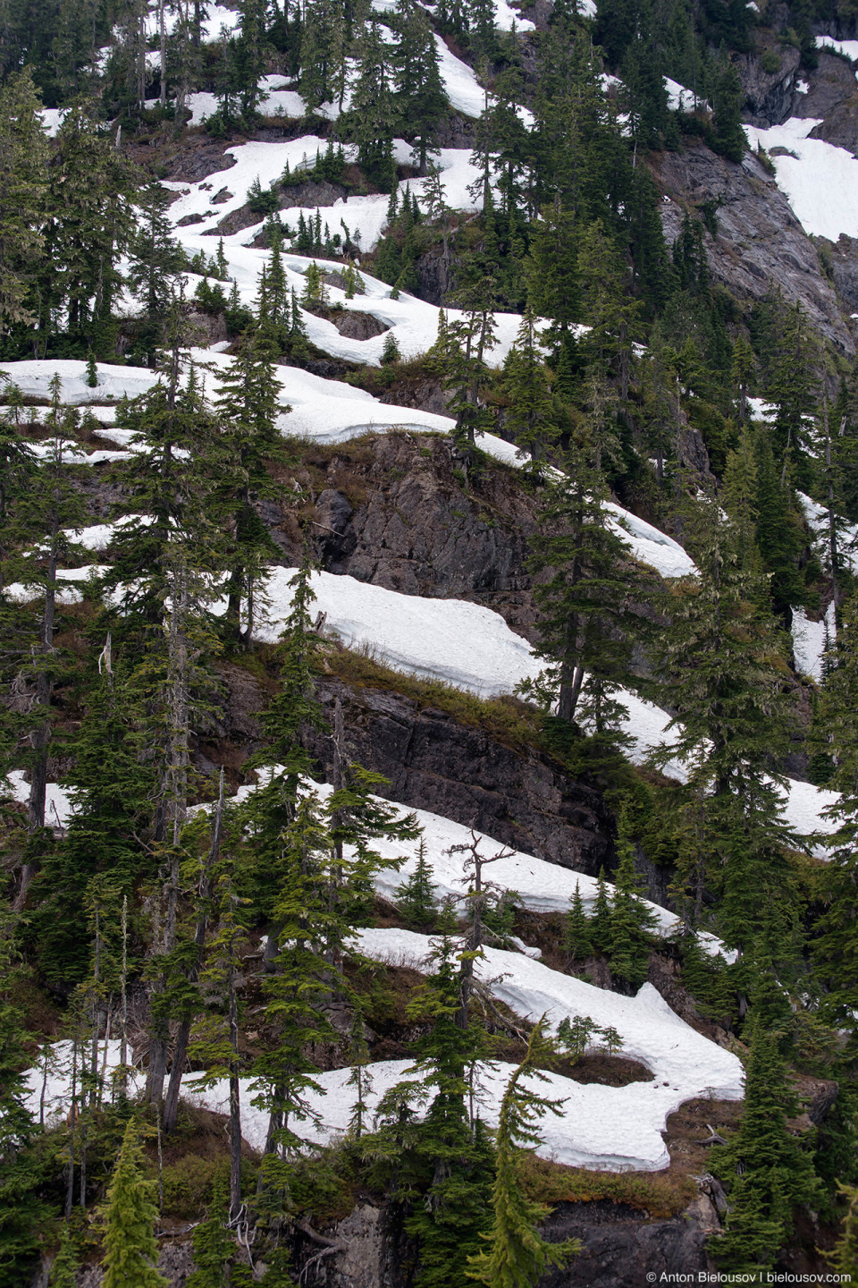 Heather Meadows in snow, Baker Mountain