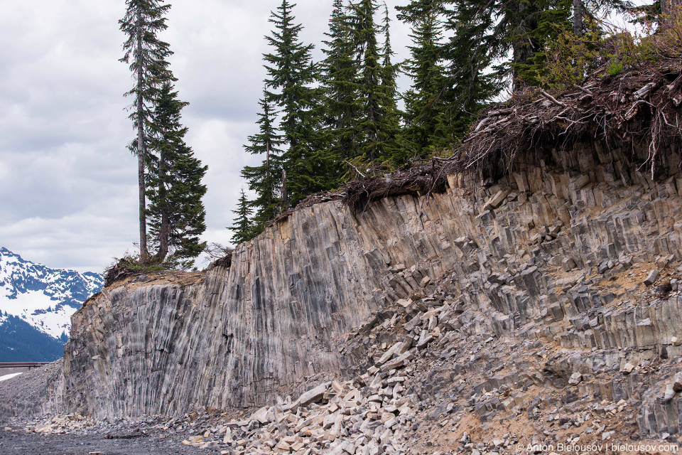 Базальтовые колонны (Baker Mountain, WA)