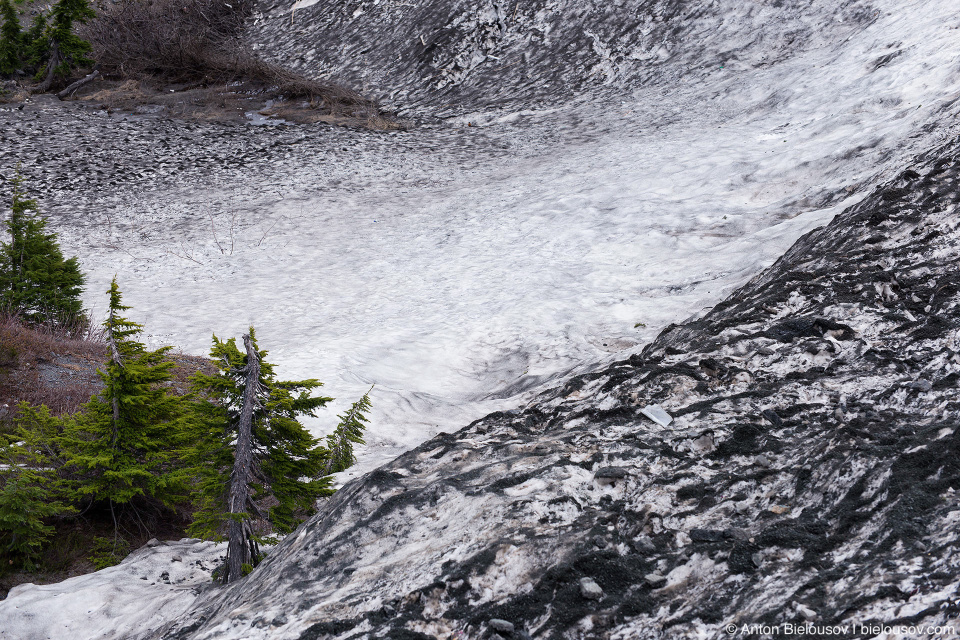 Heather Meadows in snow, Baker Mountain