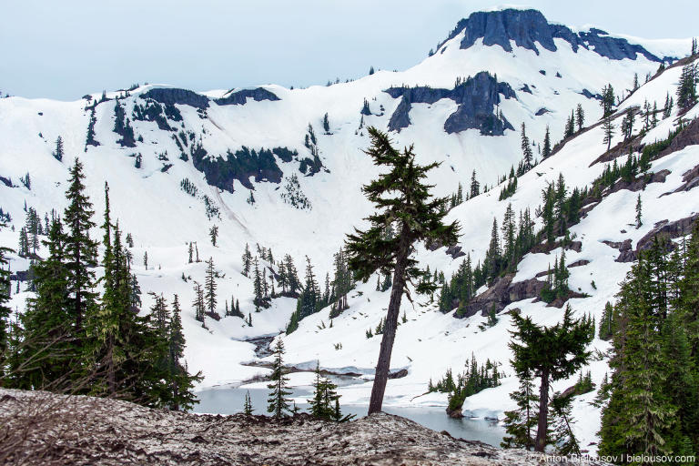 Heather Meadows in snow, Baker Mountain