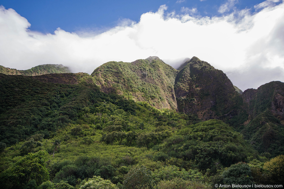 Iao Valley (Maui, HI)